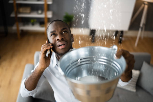 Best Flood restoration services  in Lakeview, OH