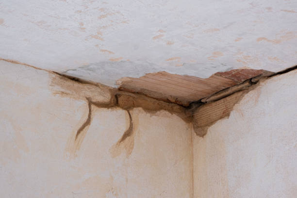 Best Water damage restoration experts  in Lakeview, OH