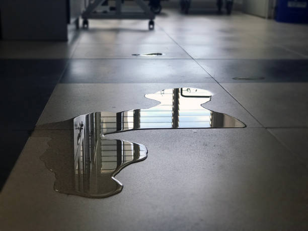 Best 24-hour water damage restoration  in Lakeview, OH