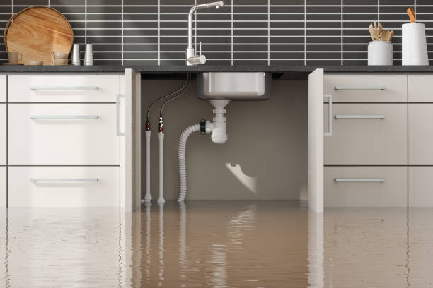 Best Flooded house restoration  in Lakeview, OH