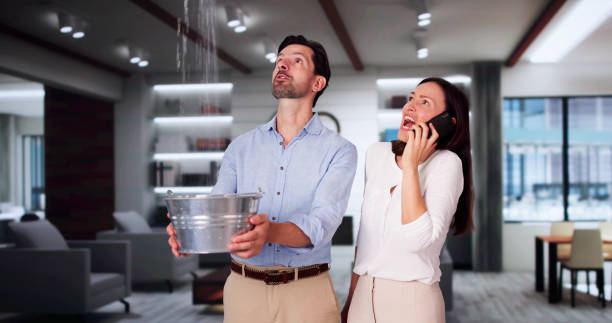 Best Professional water damage repair  in Lakeview, OH